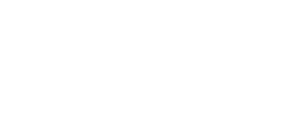 2aN